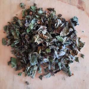 Products: Bergomot (bee balm)