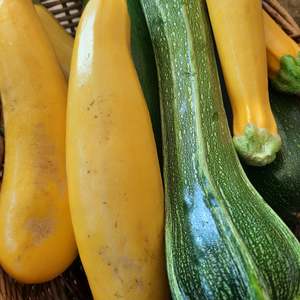 Products: Courgette (spray free)
