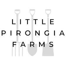 Spring Onions (Little Pirongia Farms)