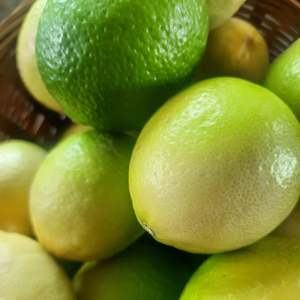 Limes (spray free)