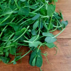 Peashoots (spray free)