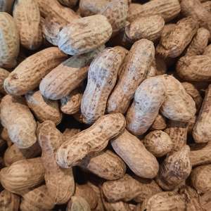Products: Peanuts - Fire roasted (organic)