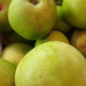 Products: Apples - Granny Smith (Organic)