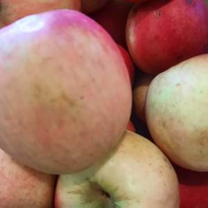 Products: Apples - Pink Lady (Organic)