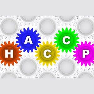 Advanced Codex HACCP & Hazard Analysis for Risk Based Measures Workshop