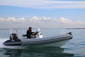 Cormorant 550/600