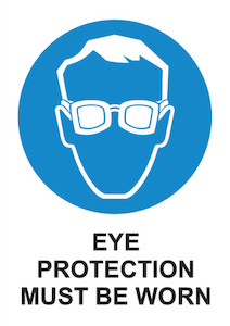 Products: Eye Protection (PVC) safewise