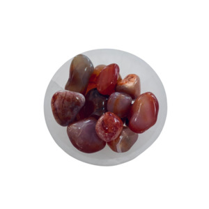 Products: Carnelian Tumble Sacral Chakra - Sage By Us