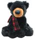 Black Jack Teddy Bear