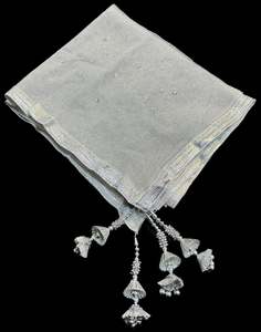 Silver color Netting based stone work design with heavy tessels & lace work dupatta