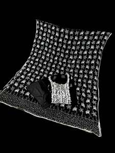 Pure chiffon based lakhnavi work with sequined designs kameez and dupatta with p&hellip;