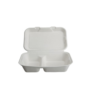 Sugarcane Compartment Meal Box