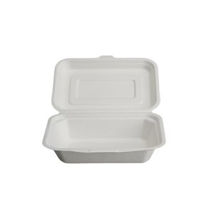 Sugarcane Takeaway Containers