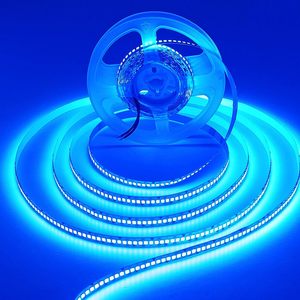 String Lights: 2835 12V LED Strip Light String Blue 5M 600LED