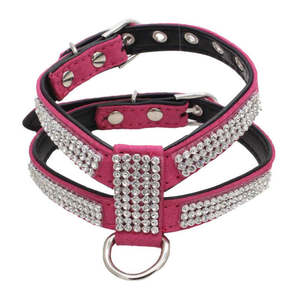 Dog Collar - S