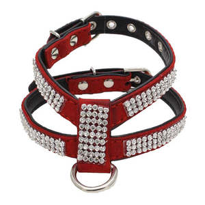 Dog: Dog Collar - M