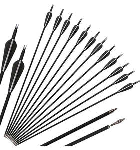 Hunting Shooting: Carbon Arrows 12pcs