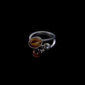 The Orbital Ring