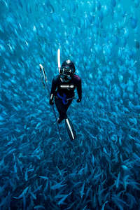 Beginners Oceanic Hunter/Gatherer Day Trip - NEW DATES COMING SOON