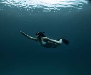 Freediving Courses Trips: Try Freediving – Ocean Experience, Whitianga