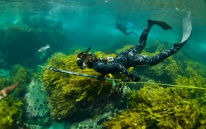 Huntress Experiences: Huntress Catch n Cook Overnight Trip