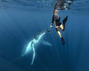 Voyager Series: Wāhine Voyager Series | Tonga Edition 2026