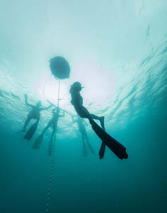 Advanced Freediver 2-day SSI Course