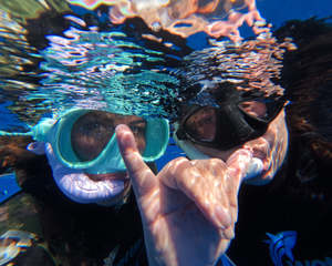 Salt Session | Goat Island Dive & Snorkel