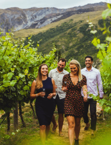 Altitude Wine Tours