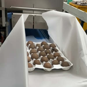 PAPER FLOW WRAP | Soft Plastic Replacement | NZ MADE