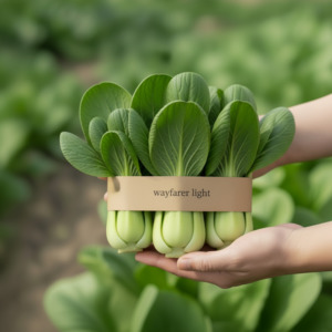 Paper Fresh Produce Labels | Plastic Replacement | NZ MADE