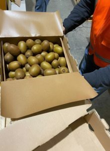 LINERLESS KIWIFRUIT BOX | Plastic replacement | NZ MADE