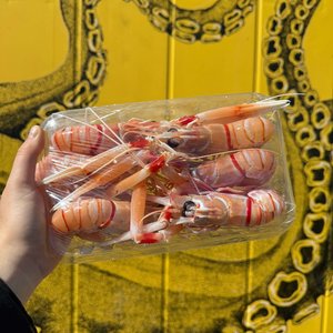 All Fresh Fish — Seafood — Saltwater Seafoods: Fresh NZ Scampi - Saltwater Seafoods NZ