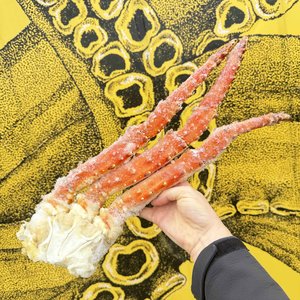 All Fresh Fish — Seafood — Saltwater Seafoods: King Crab Legs - Saltwater Seafoods NZ