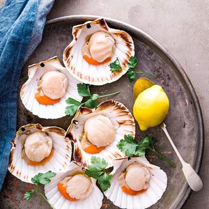 All Fresh Fish — Seafood — Saltwater Seafoods: Half Shell Scallops Roe-On (Each) - Saltwater Seafoods NZ