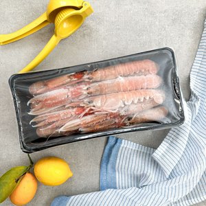 All Fresh Fish — Seafood — Saltwater Seafoods: Langoustine Scampi - Saltwater Seafoods NZ