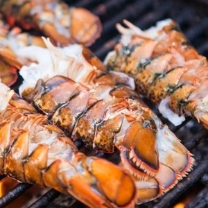 All Fresh Fish — Seafood — Saltwater Seafoods: Raw Lobster Tail - Saltwater Seafoods NZ