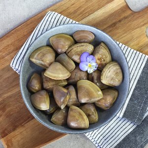 All Fresh Fish — Seafood — Saltwater Seafoods: Diamond Clams - Saltwater Seafoods NZ