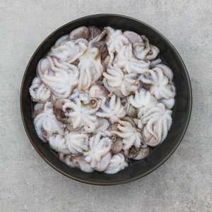 All Fresh Fish — Seafood — Saltwater Seafoods: Baby Octopus 1KG - Saltwater Seafoods NZ