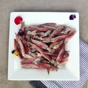All Fresh Fish — Seafood — Saltwater Seafoods: Needle Squid (Frozen) - Saltwater Seafoods NZ