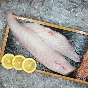 Blue Warehou Fillets (Skinned & Boned) - Saltwater Seafoods NZ