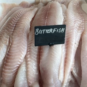 Butterfish Fillets (Skinned & Boned) - Saltwater Seafoods NZ