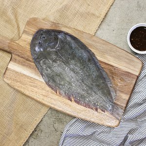 Whole Sole 1KG - Saltwater Seafoods NZ