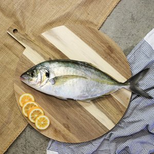 Whole Trevally 1KG - Saltwater Seafoods NZ