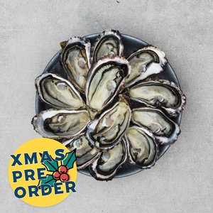 XMAS PRE-ORDER: Fresh Oysters (In The Shell) - Saltwater Seafoods NZ