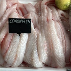Lemonfish Fillets (Skinned & Boned) - Saltwater Seafoods NZ