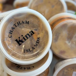 Chatham Island Kina - Saltwater Seafoods NZ
