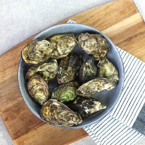 Kawhia Oysters (Dozen) - Saltwater Seafoods NZ