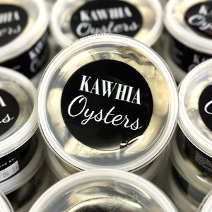 Fresh Kawhia Oysters - Saltwater Seafoods NZ