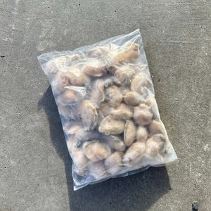 Large Frozen Oyster Meat - Saltwater Seafoods NZ